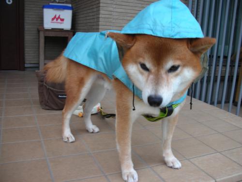 どんより
