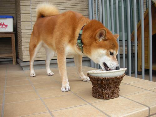 モリモリ