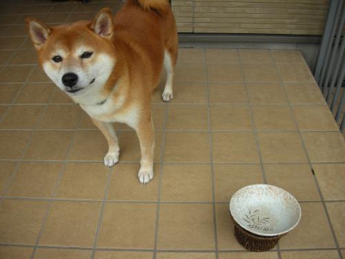 完食でっす!!