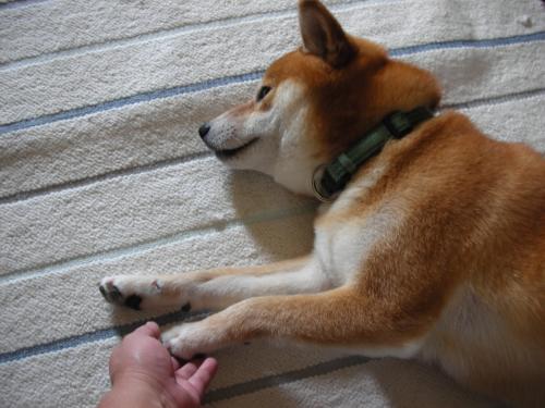 どいてください