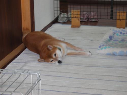 台風が来るよ