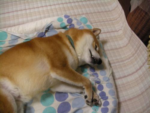 眠い