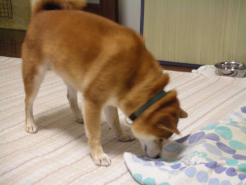 何㎏?