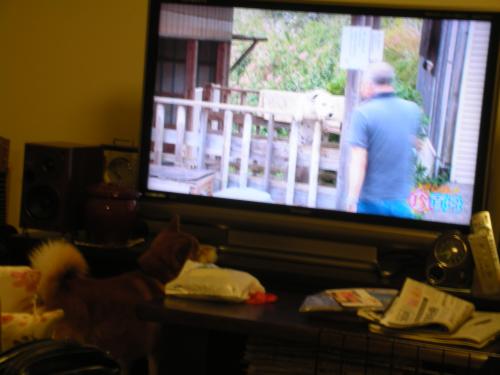 テレビ2