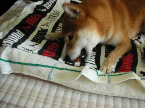 大きなおやつ