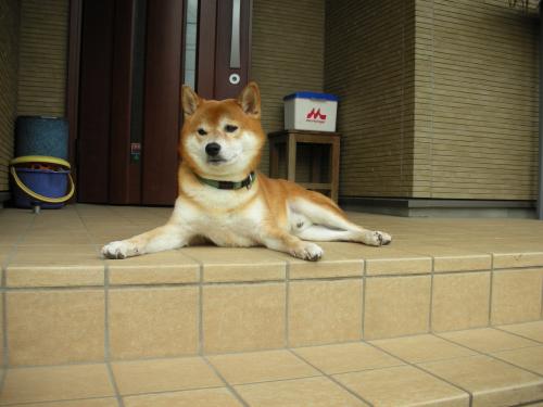 お庭番2