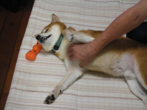 モミモミ