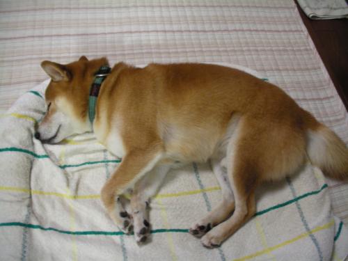 ぐっすり