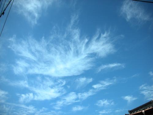 秋の雲