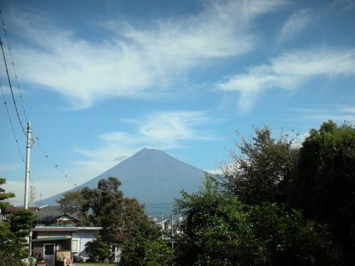 お散歩日和