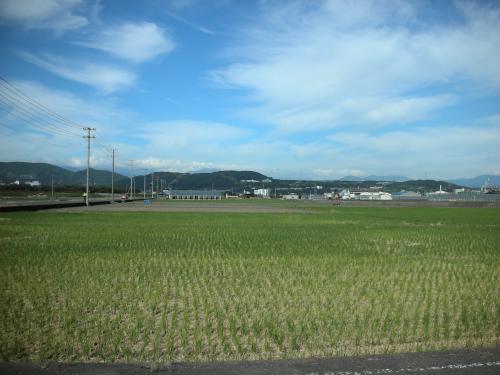 稲刈り完了