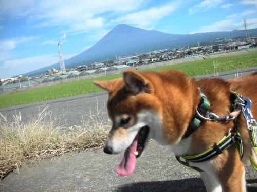 富士山傾く