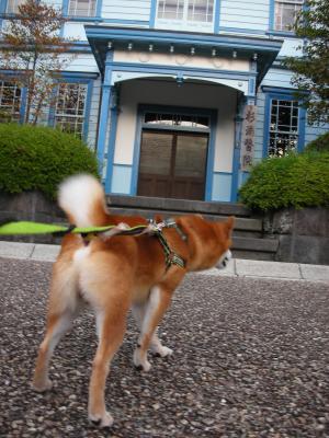 広見公園2