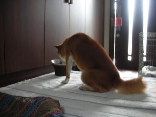 疲れたの?