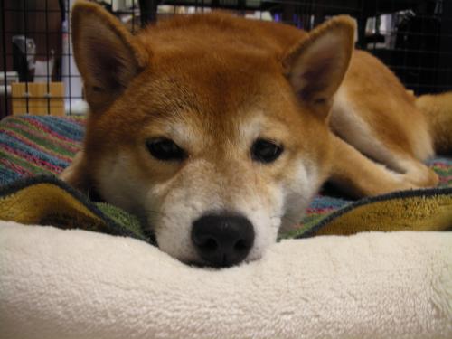 考え中?