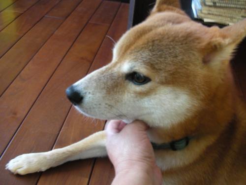 どうしたの?2