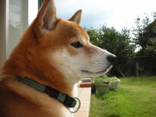 誰か来ないかな~?