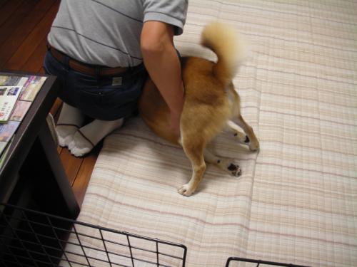 がう~