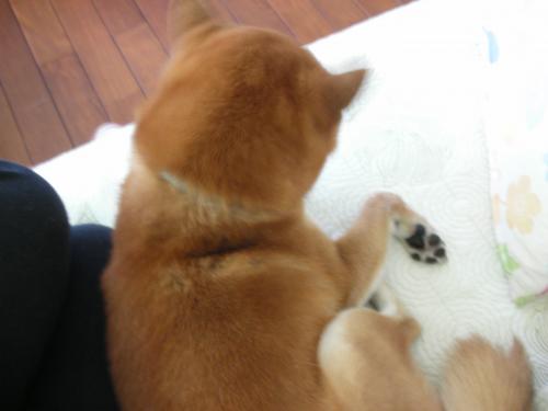 なかなか いい感じ