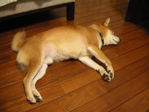 がっくり・・・