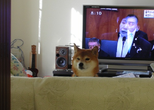 どうして?