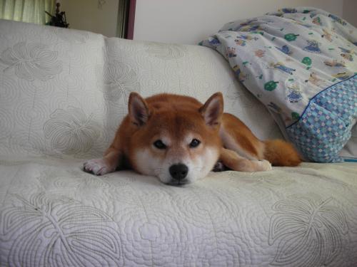 あららら