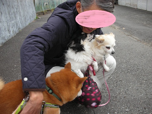 天日干し