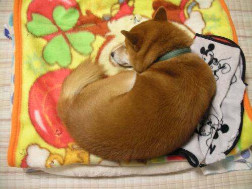 ぬくぬく