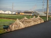 わらのお家