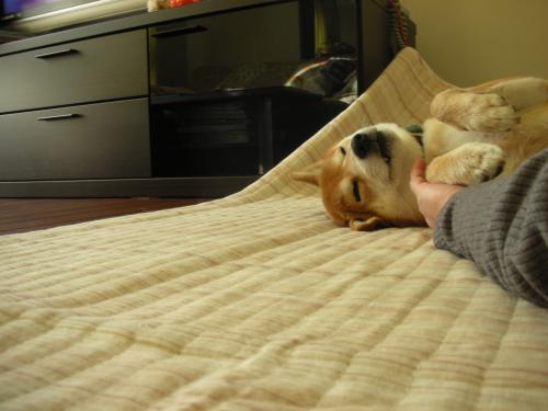 うふふ~