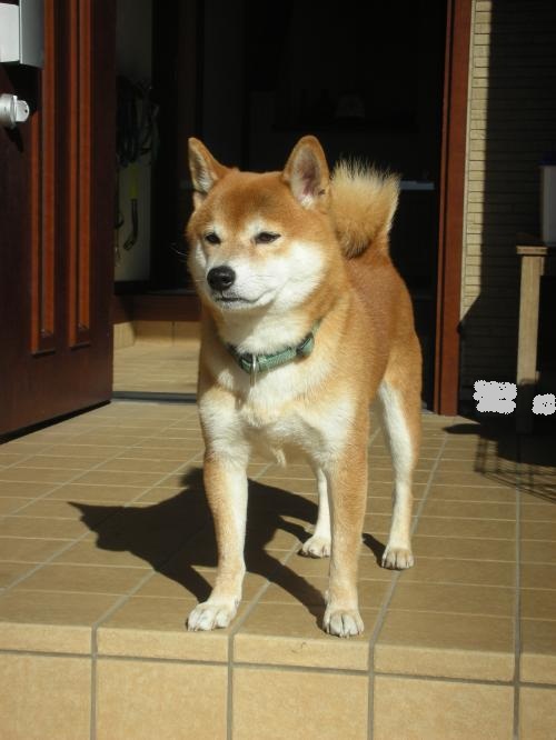 あっちも よし