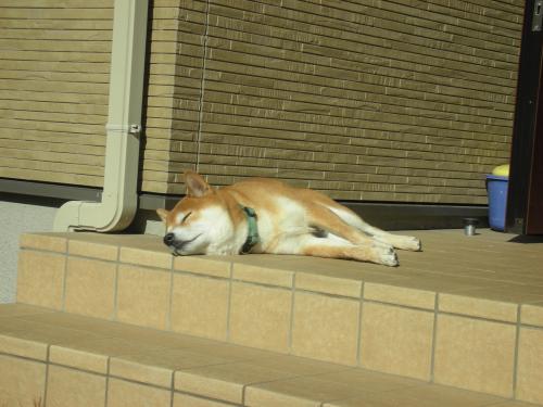 どうでも よし