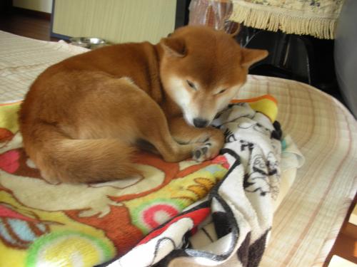 どんより