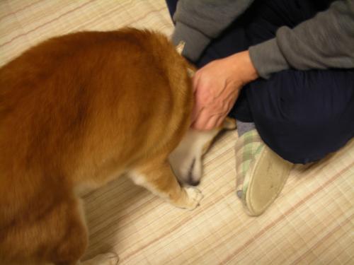父さ~ん