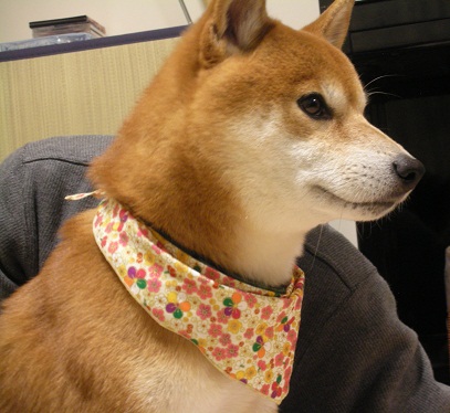 似合うですか?