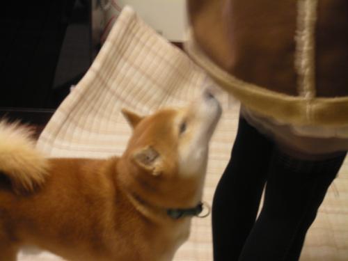 なかま?