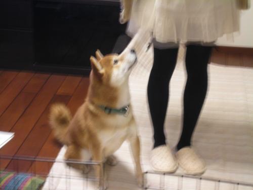 ねえちゃ~ん