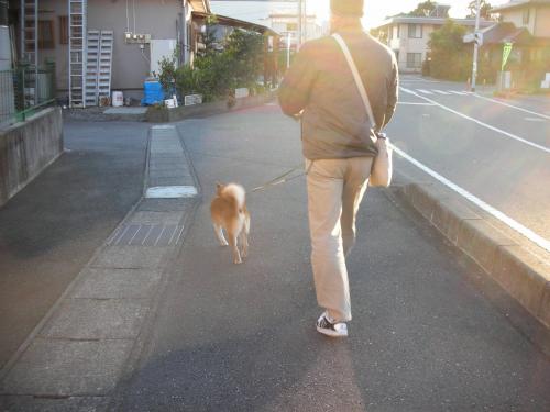 元旦の夕散歩