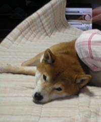 でれり~ん