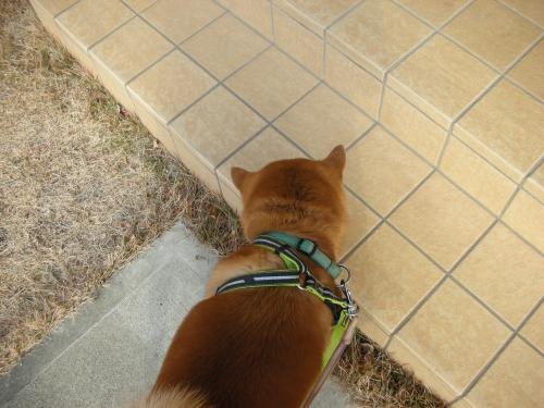 玄関チェック