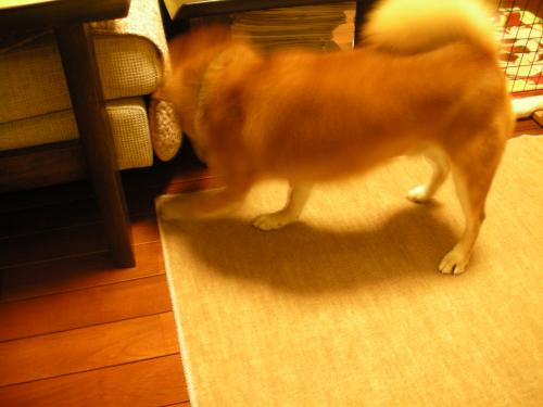 チェック中