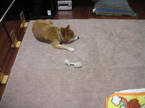 まずまずですね