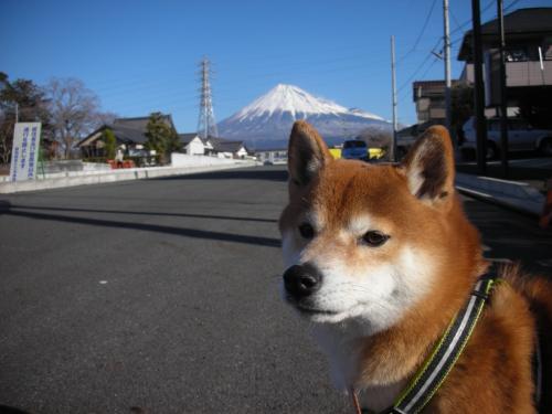 真っ白富士山