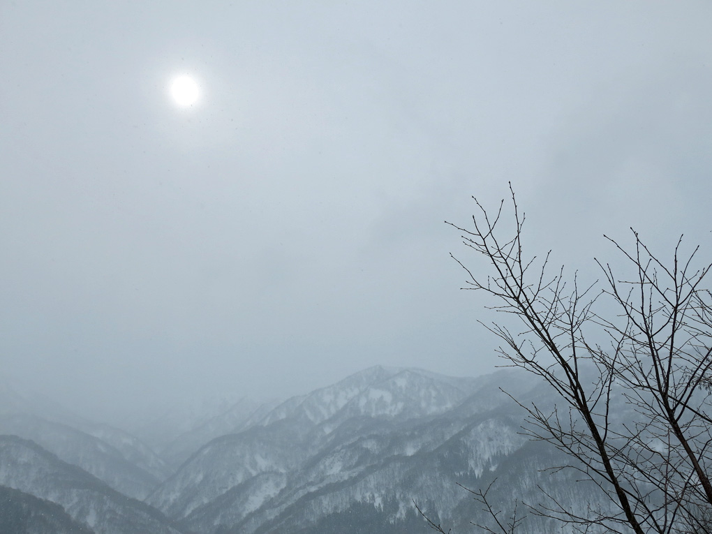 IMG_1063mi.jpg