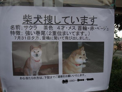 Photo Photo