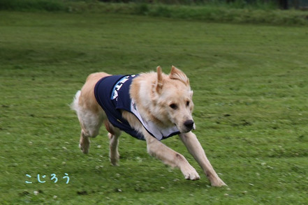 J246_2 J246_2