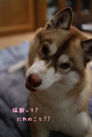 J54 J54