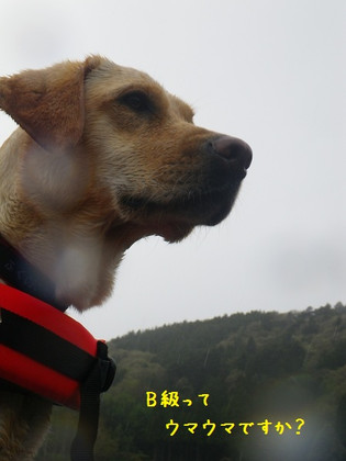 M80_2 M80_2