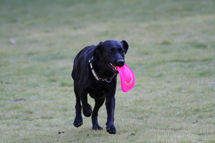 Photo_2 Photo_2