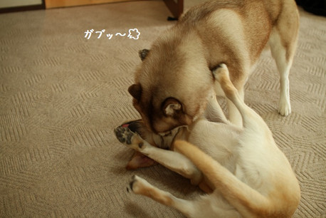 S83 S83